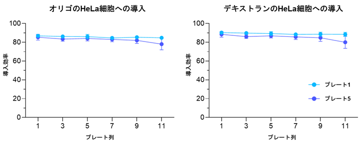 GalaxyでのHeLa細胞への導入