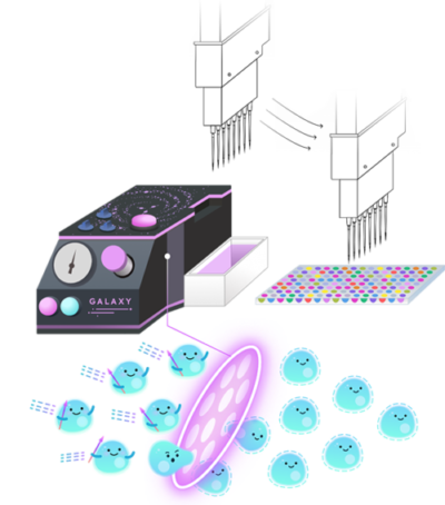 Galaxy　ハイスループットスクリーニング