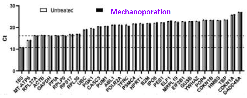 ハウスキーピング遺伝子