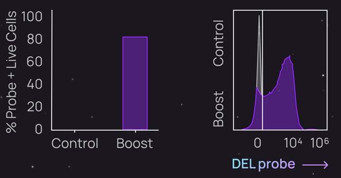 DELのiPS細胞への導入