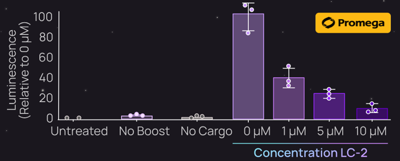 タンパク質の導入